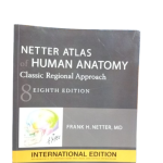 NETTER ITALAS.